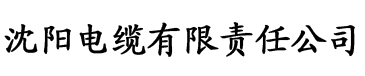 大香蕉日韩片电缆厂logo